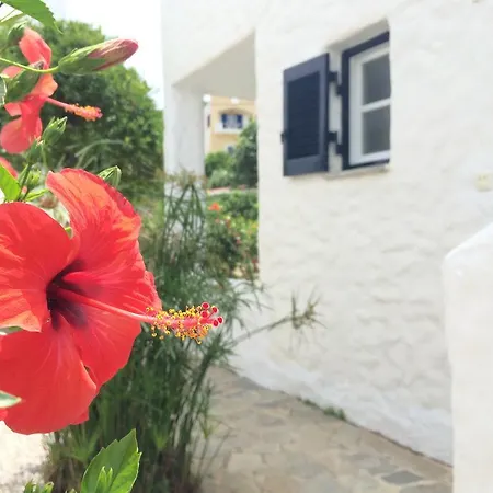 επιπλωμένων διαμερισμάτων ουτοπία *